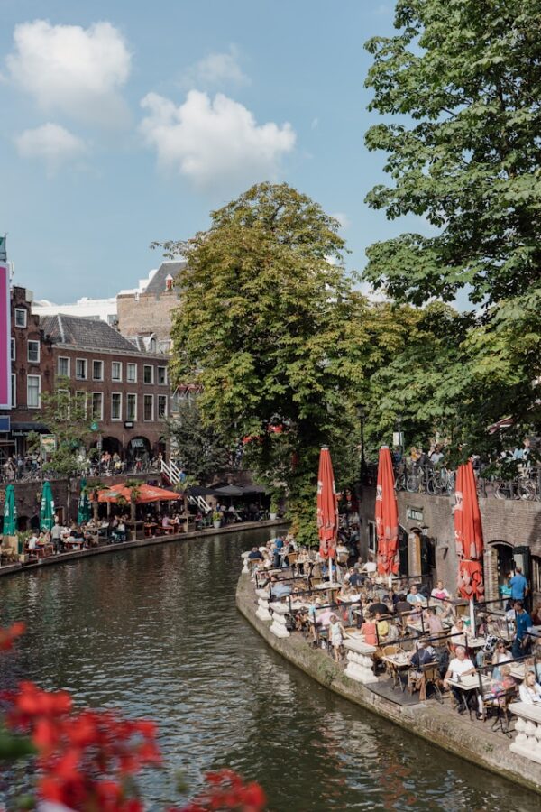Utrechtse ondernemers winnen online met een slimme lokale strategie